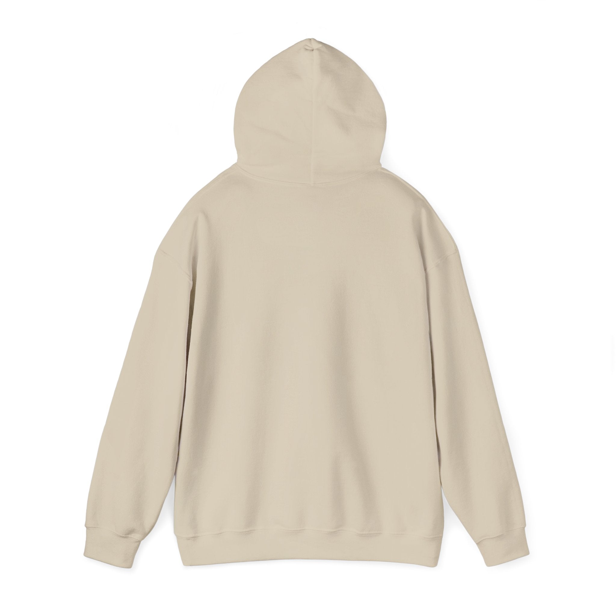 Hoodie - 'Mountains and I Think So' Minimal Nature Graphic Hoodie