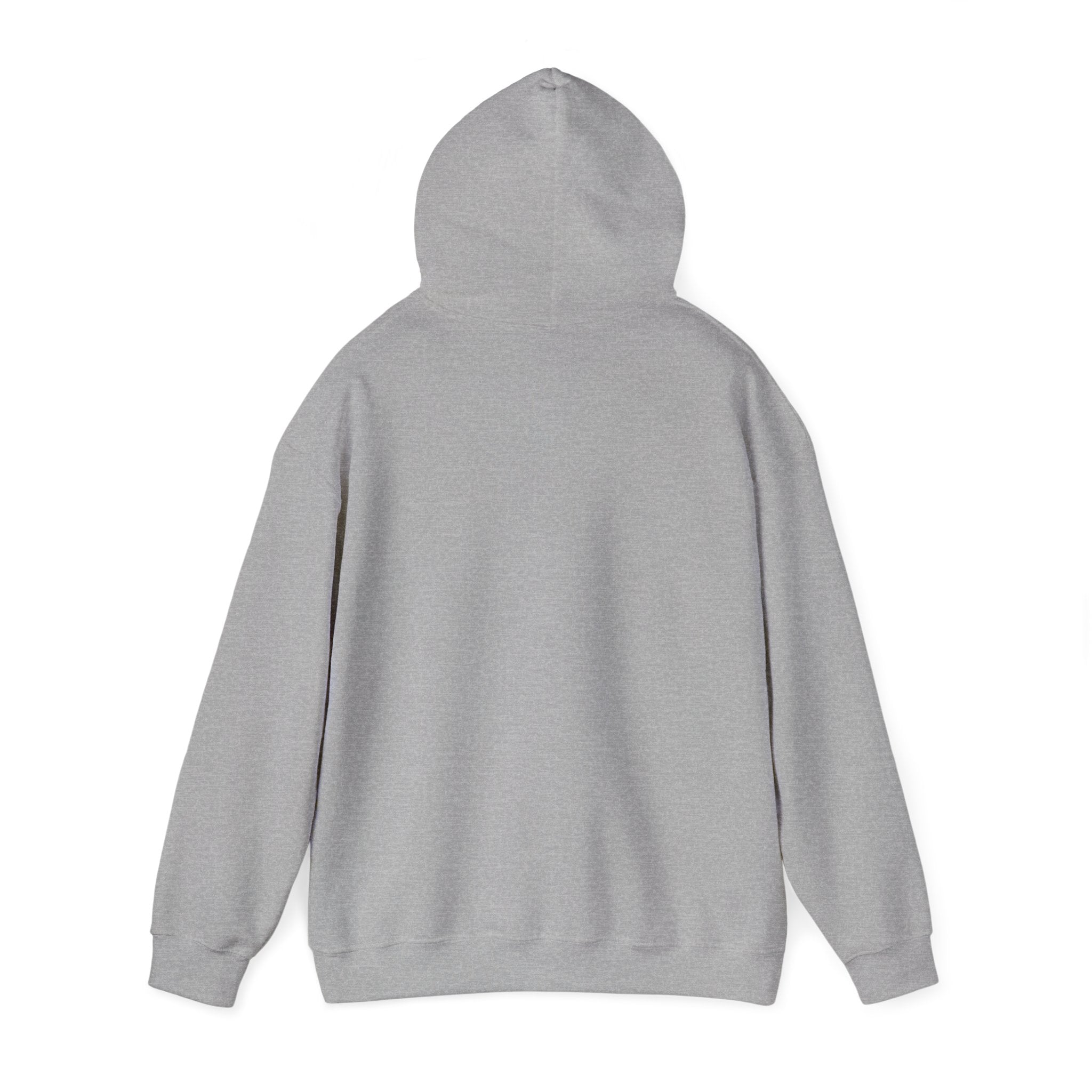 Hoodie - 'Mountains and I Think So' Minimal Nature Graphic Hoodie