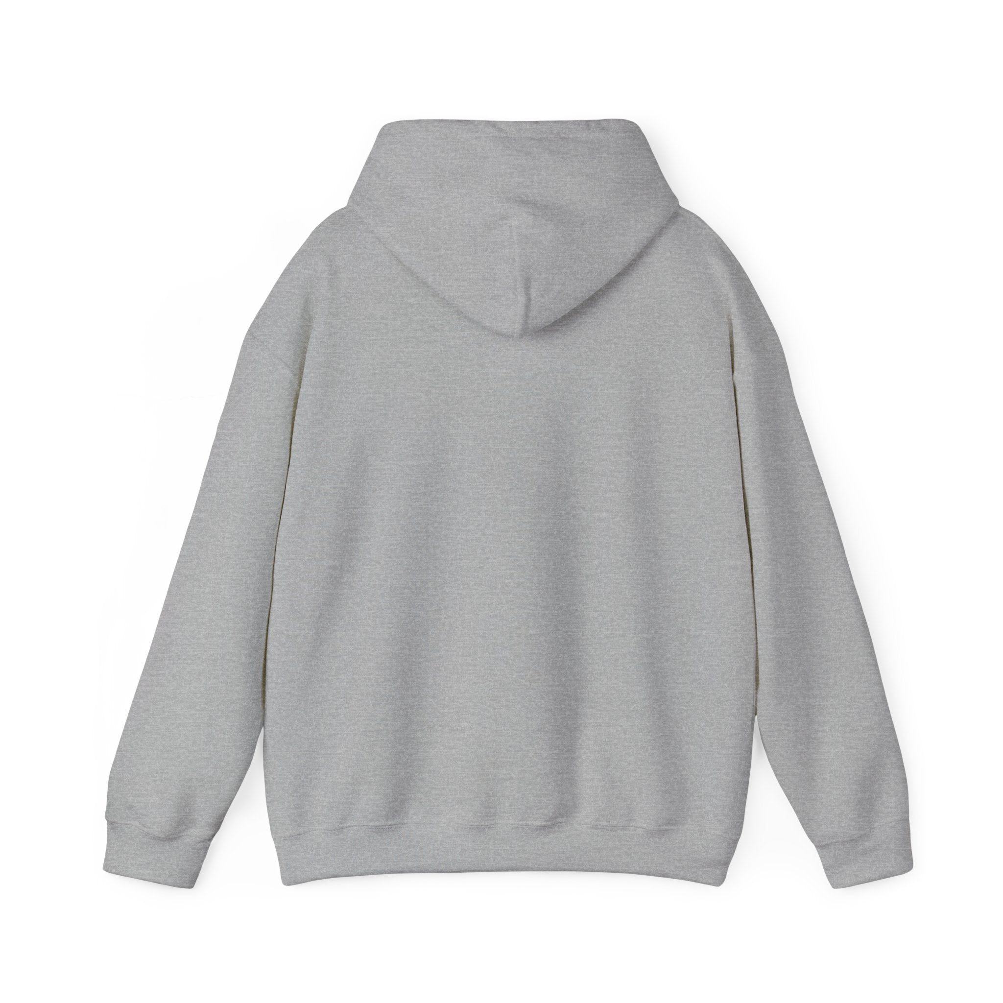 Hoodie - 'Mountains and I Think So' Minimal Nature Graphic Hoodie